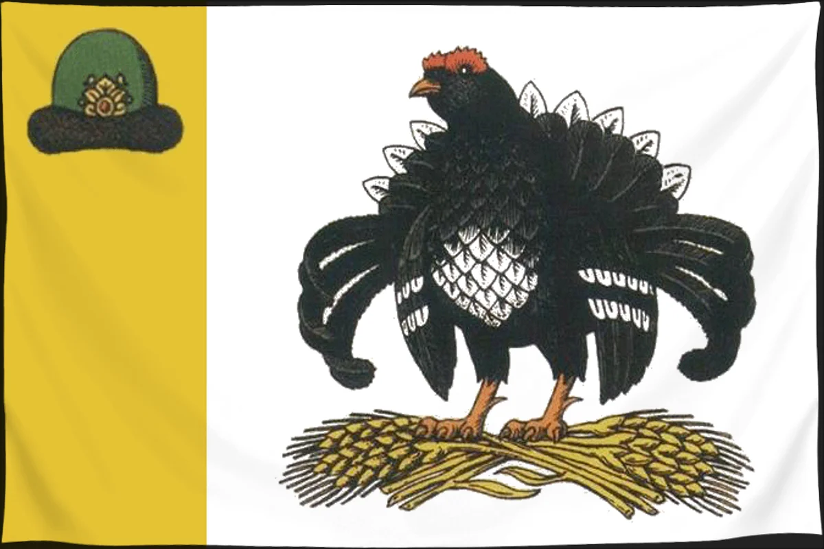 Флаг: Пителинский район